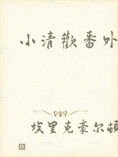 小清欢番外