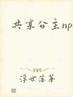 共享公主npc
