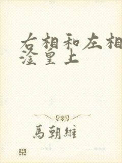 右相和左相一起淦皇上