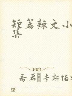 短篇辣文小说合集