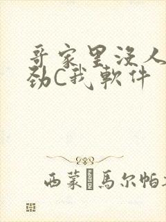 哥家里没人使点劲C我软件