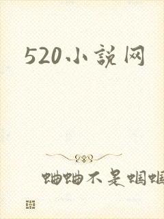 520小说网