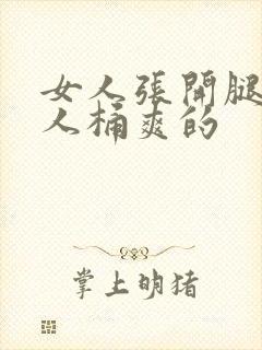 女人张开腿让男人桶爽的