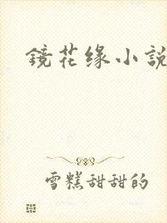 镜花缘小说