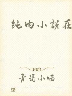 纯肉小说在线