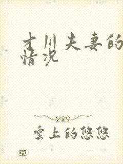 才川夫妻的恋爱情况