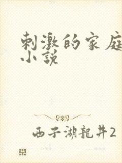 刺激的家庭乱仑小说