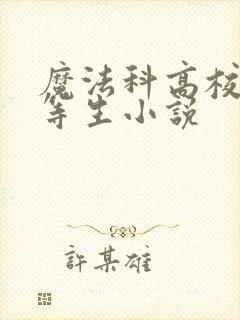 魔法科高校的劣等生小说