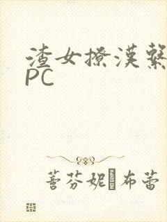 渣女撩汉系统NPC