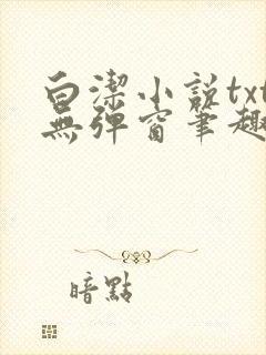 白洁小说txt无弹窗笔趣阁