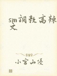 sm调教高辣h文