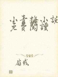 小青梅小说全文免费阅读