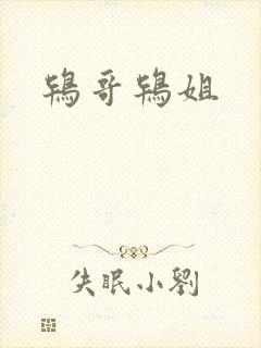 鸨哥鸨姐