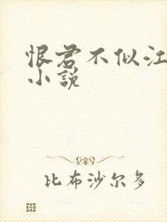 恨君不似江楼月小说