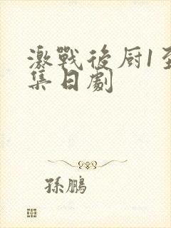 激战后厨1至5集日剧