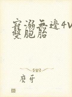 宠溺无边4V2双胞胎