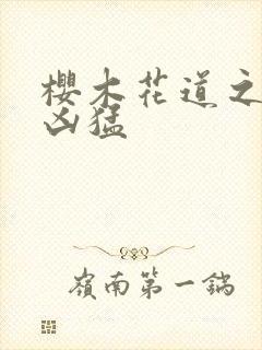 樱木花道之重生凶猛