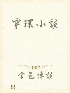 穿环小说