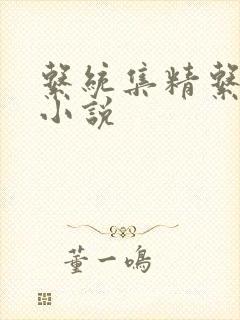 系统集精系统 小说