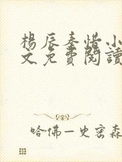 杨辰秦惜小说全文免费阅读最新