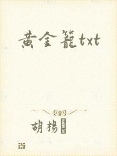 黄金笼txt