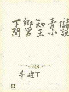 下乡知青储物空间男主小说