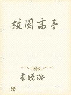 校园高手