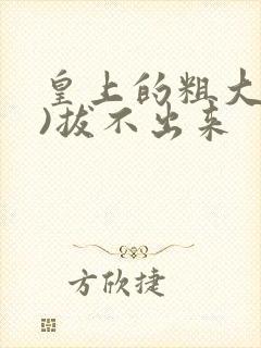 皇上的粗大(h)拔不出来