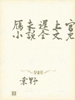 雁未迟上官穿越小说全文免费阅读