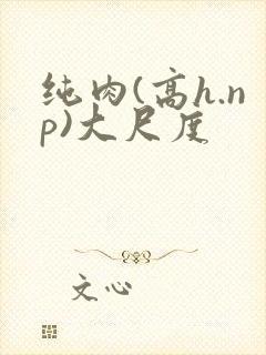纯肉(高h.np)大尺度