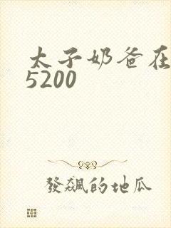 太子奶爸在花都5200