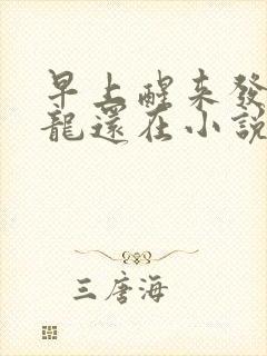 早上醒来发现巨龙还在小说