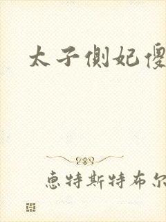 太子侧妃傻乎乎