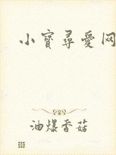 小宝寻爱网