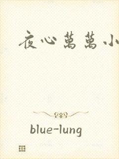 夜心万万小说