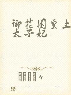 御花园皇上撞着太子妃