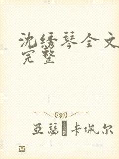 沈绣琴全文阅读完整