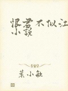 恨君不似江楼月小说