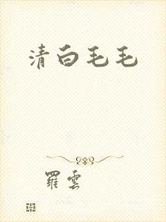 清白毛毛