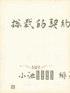 总裁的契约情人