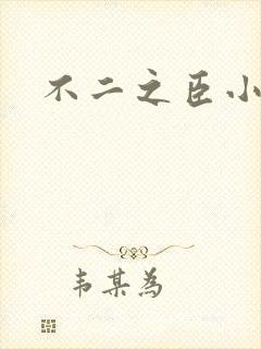 不二之臣小说