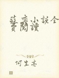 苏奕小说全文免费阅读