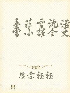 秦菲雪沈浩秦菲雪小说全文免费阅读求书