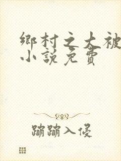 乡村之大被同眠小说免费