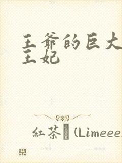 王爷的巨大进入王妃