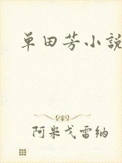 单田芳小说