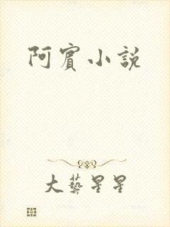 阿宾小说