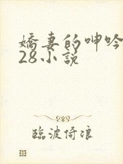 娇妻的呻吟1—28小说