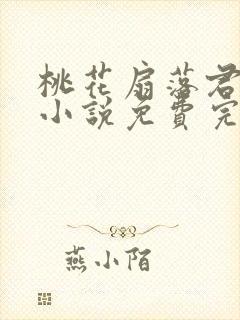 桃花扇落君不还小说免费完整版