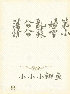 荡公乱妇第1章情公苏雪小说